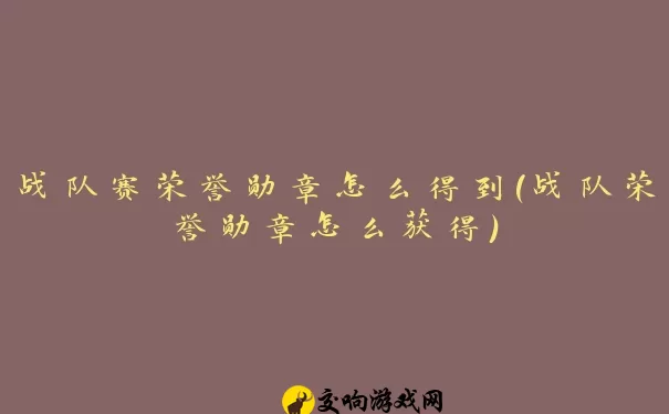 战队赛荣誉勋章怎么得到(战队荣誉勋章怎么获得)