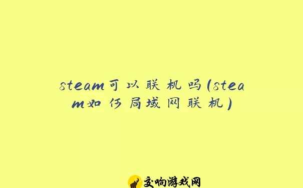 steam可以联机吗(steam如何局域网联机)