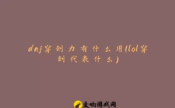 dnf穿刺力有什么用(lol穿刺代表什么)