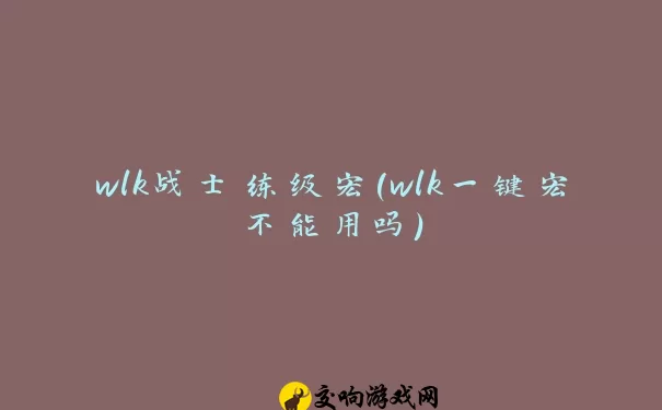 wlk战士练级宏(wlk一键宏不能用吗)