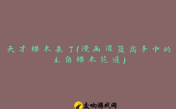 天才樱木来了（漫画灌篮高手中的主角樱木花道）