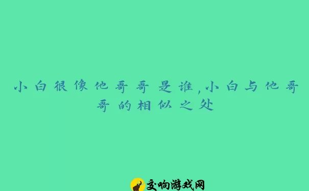 小白很像他哥哥是谁,小白与他哥哥的相似之处