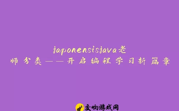 japonensisjava老师分类——开启编程学习新篇章