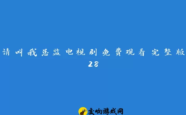 请叫我总监电视剧免费观看完整版28