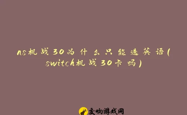 ns机战30为什么只能选英语(switch机战30卡吗)