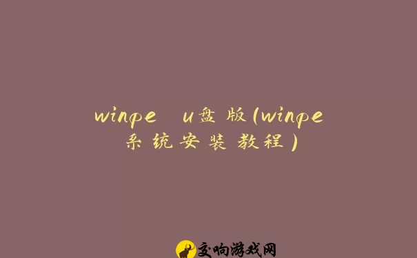 winpe u盘版（winpe系统安装教程）