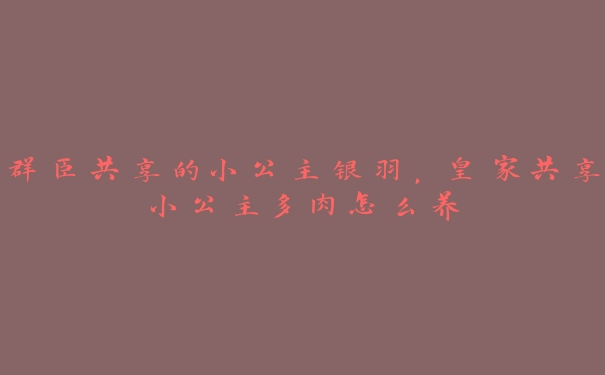 群臣共享的小公主银羽，皇家共享小公主多肉怎么养