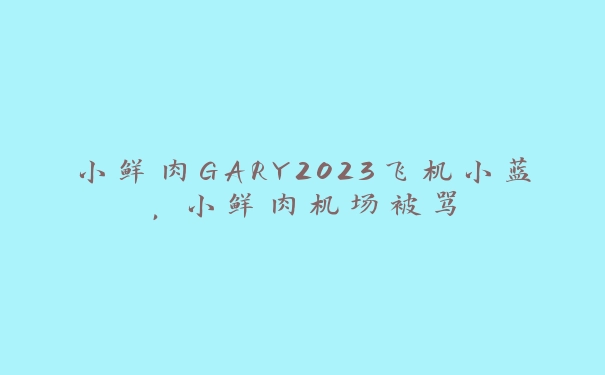 小鲜肉GARY2023飞机小蓝，小鲜肉机场被骂