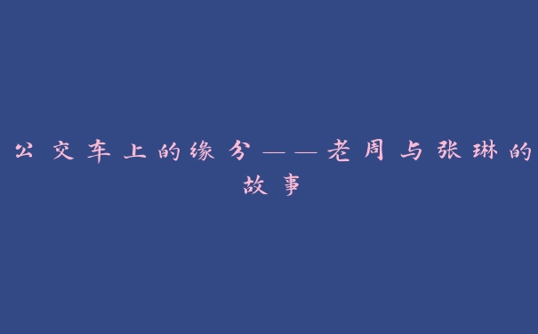 公交车上的缘分——老周与张琳的故事