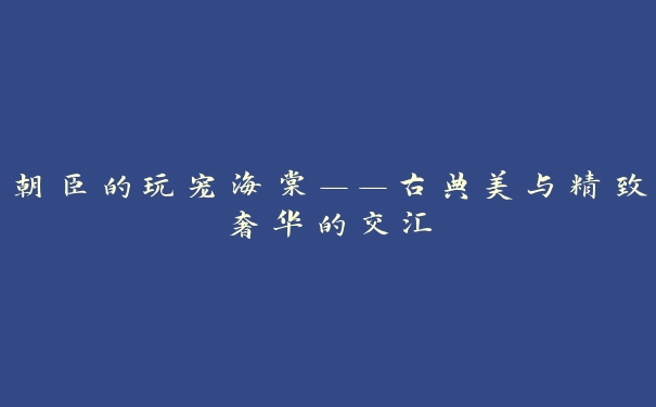 朝臣的玩宠海棠——古典美与精致奢华的交汇