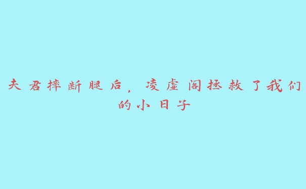 夫君摔断腿后，凌虚阁拯救了我们的小日子