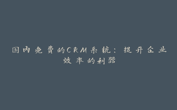 国内免费的CRM系统：提升企业效率的利器