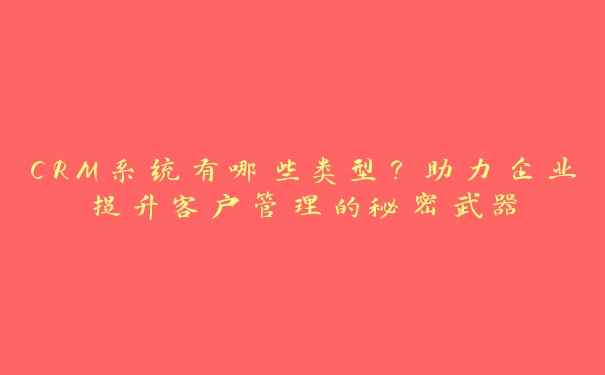 CRM系统有哪些类型？助力企业提升客户管理的秘密武器