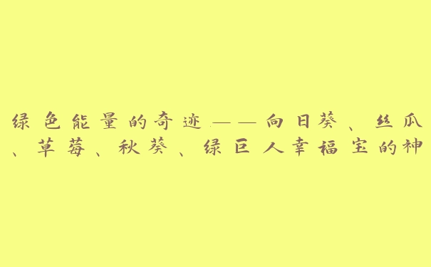 绿色能量的奇迹——向日葵、丝瓜、草莓、秋葵、绿巨人幸福宝的神奇作用