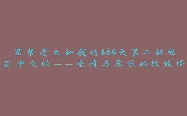 黑帮老大和我的365天第二部电影中文版——爱情与危险的极致体验