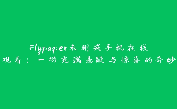 Flypaper未删减手机在线观看：一场充满悬疑与惊喜的奇妙之旅