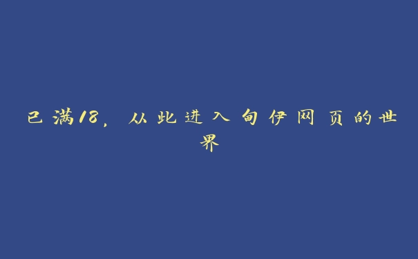 已满18，从此进入甸伊网页的世界