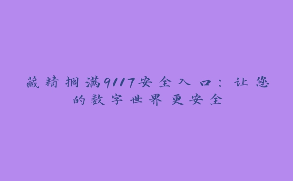 藏精搁满9117安全入口：让您的数字世界更安全