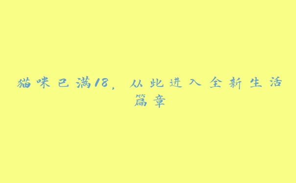 猫咪已满18，从此进入全新生活篇章