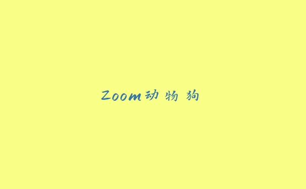 Zoom动物狗