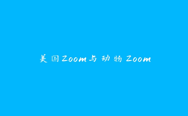 美国Zoom与动物Zoom