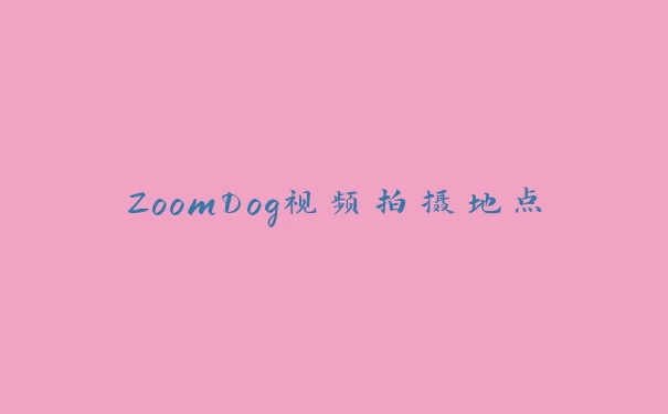 ZoomDog视频拍摄地点