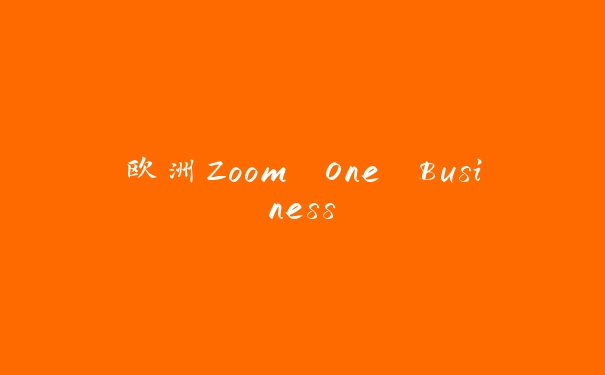 欧洲Zoom One Business