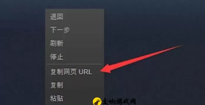 steam个人链接在哪里，如何查看自己的steam个人链接